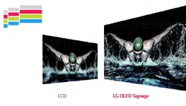 LG 65EE5PC Dual-view Curved Tiling OLED Signage Professional Display / Bild 7 von 8